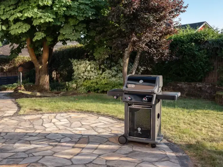 Original Weber Gas Grill