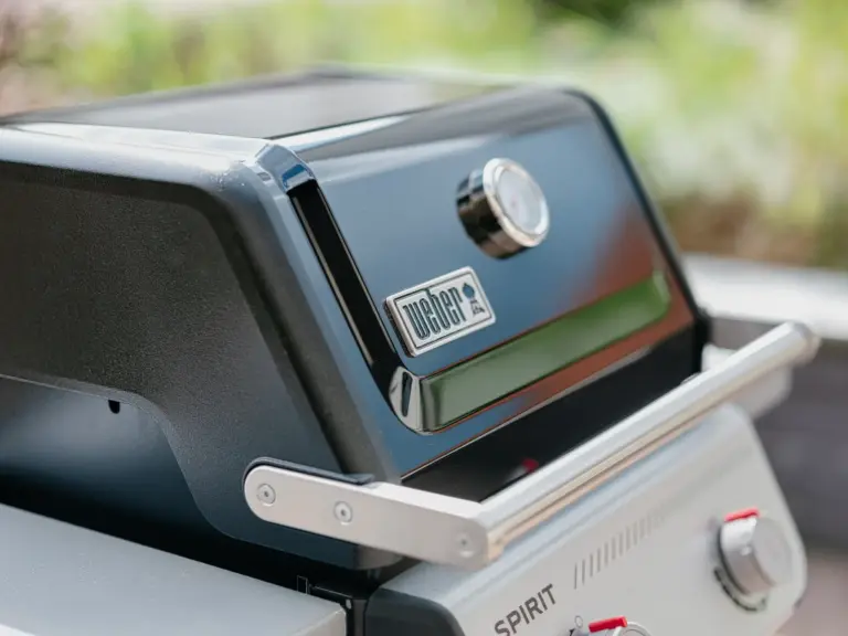 Sapphire Green Terrace with Weber Grill
