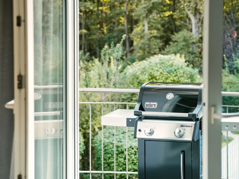 Original Weber gas grill