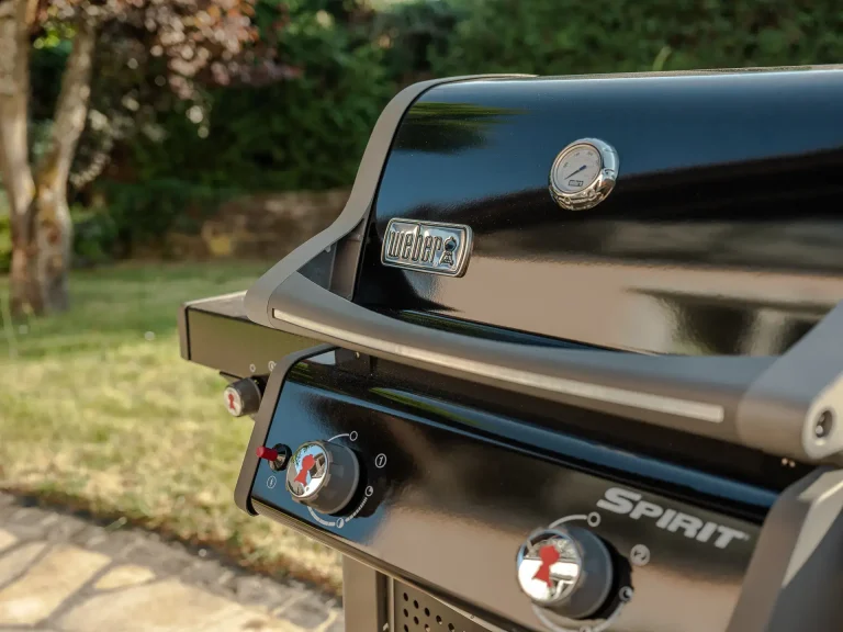 Original Weber Gas Grill